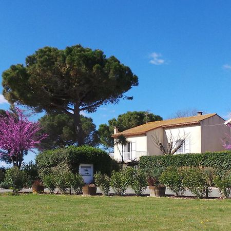 A L'Oree Des Vignes Montady ภายนอก รูปภาพ