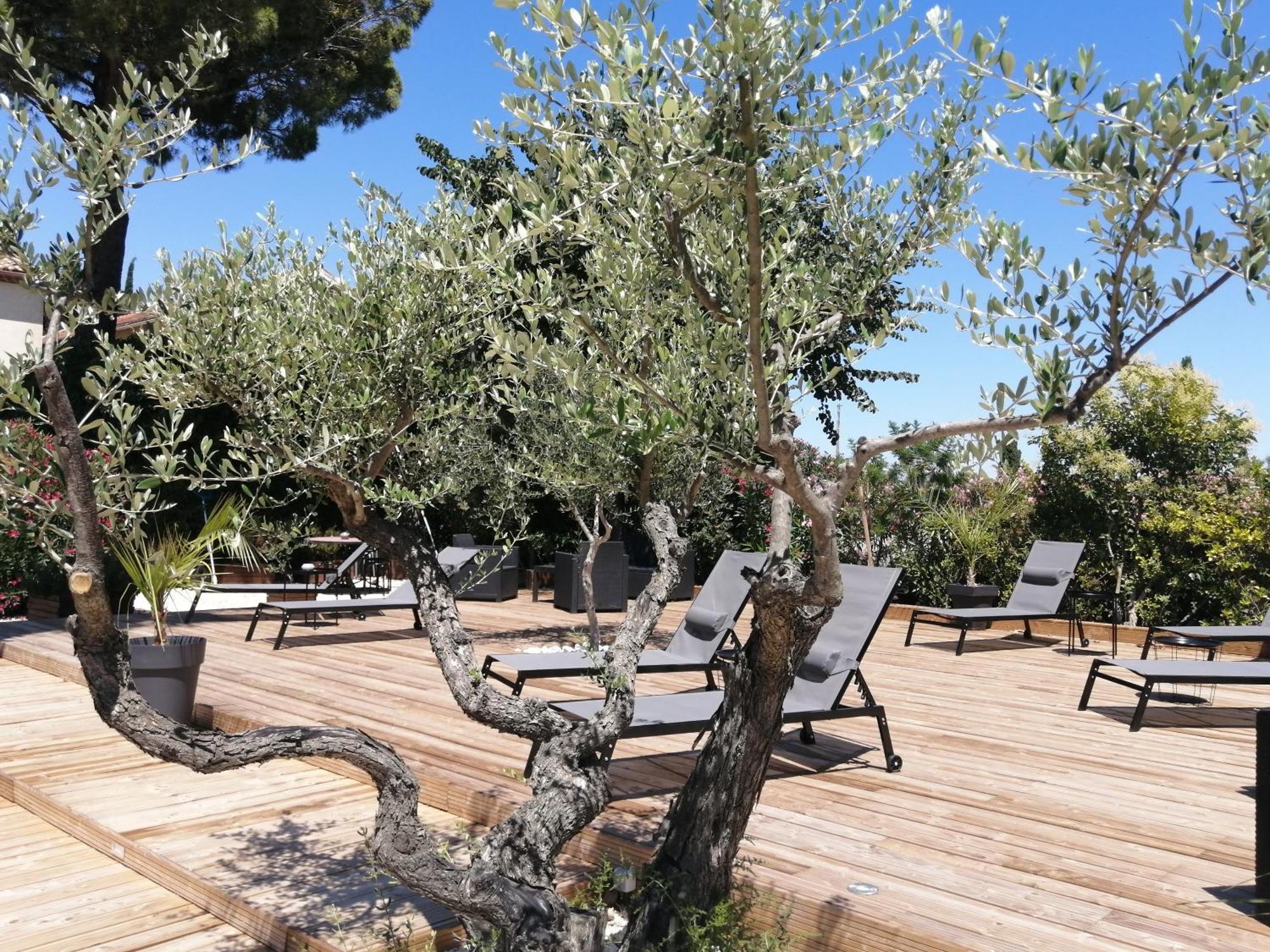 A L'Oree Des Vignes Montady ภายนอก รูปภาพ