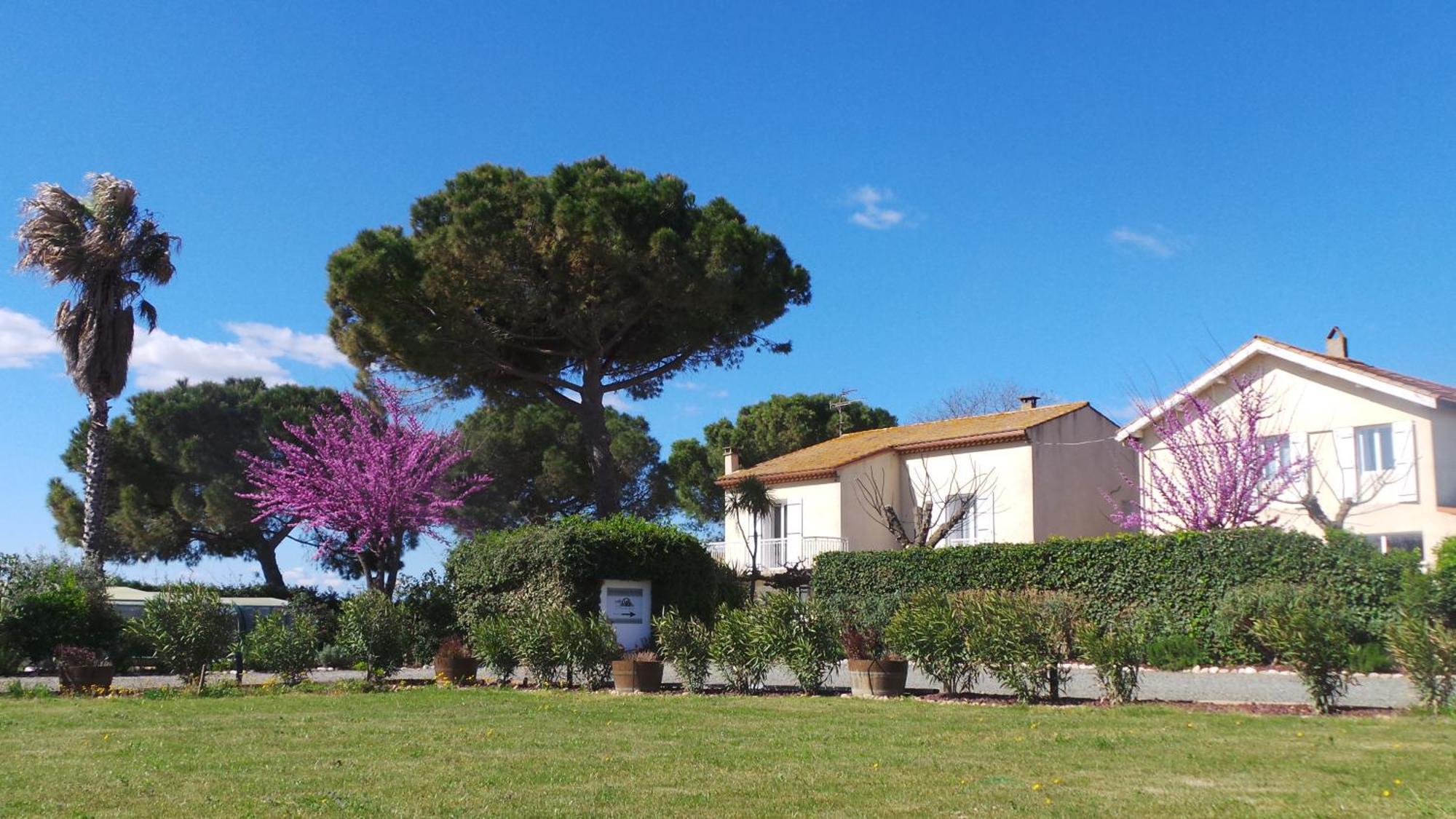 A L'Oree Des Vignes Montady ภายนอก รูปภาพ