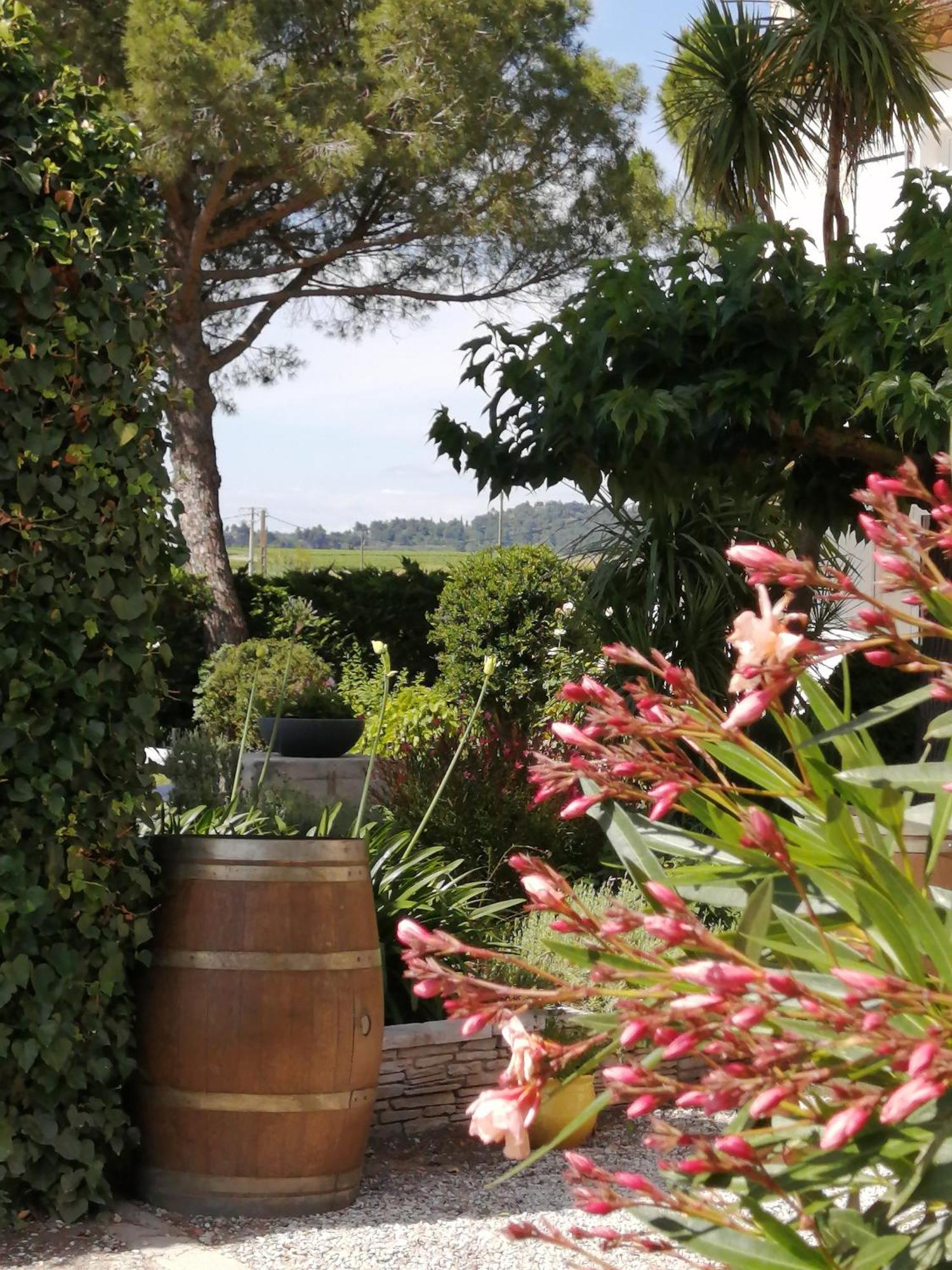 A L'Oree Des Vignes Montady ภายนอก รูปภาพ