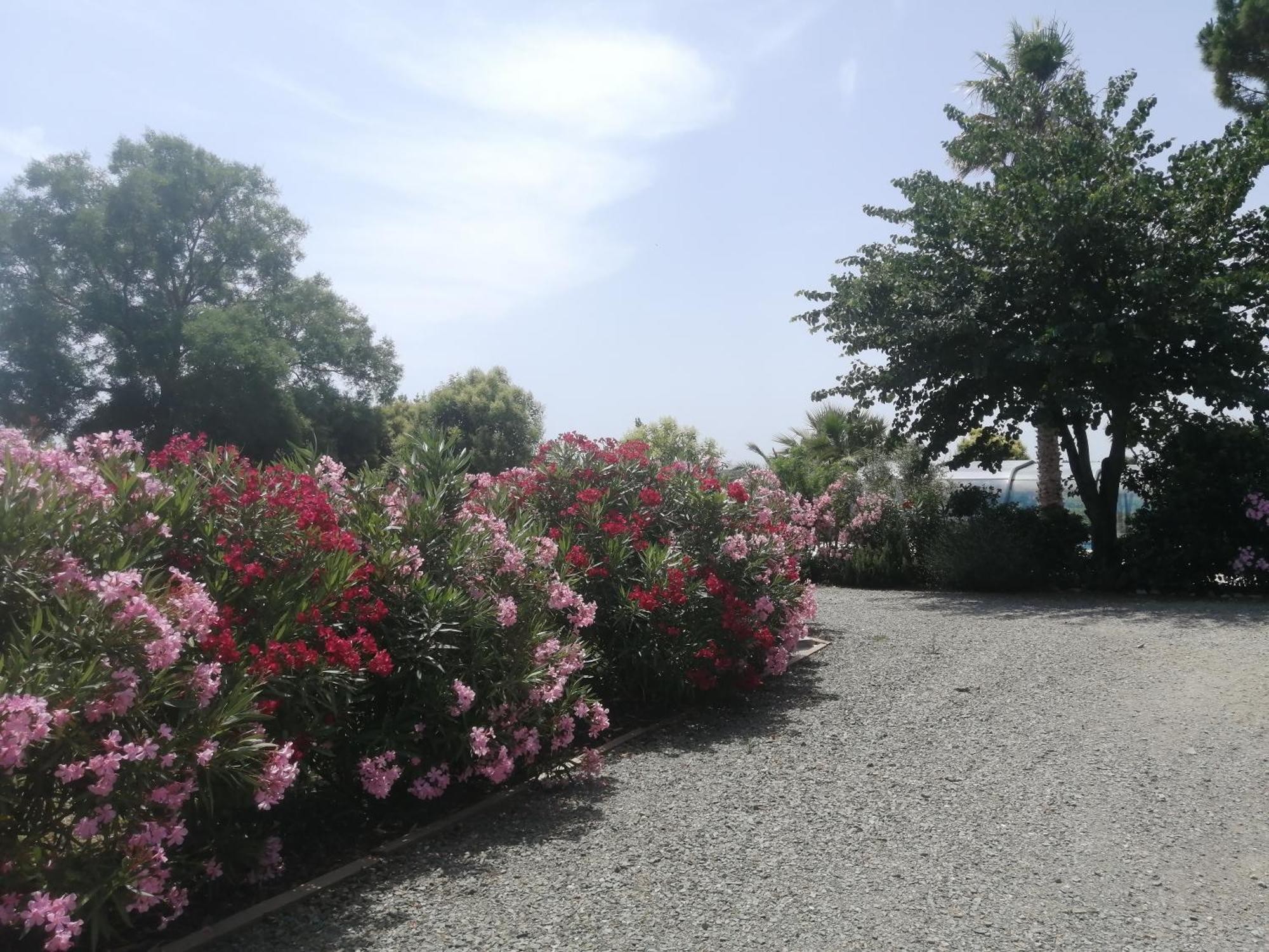A L'Oree Des Vignes Montady ภายนอก รูปภาพ